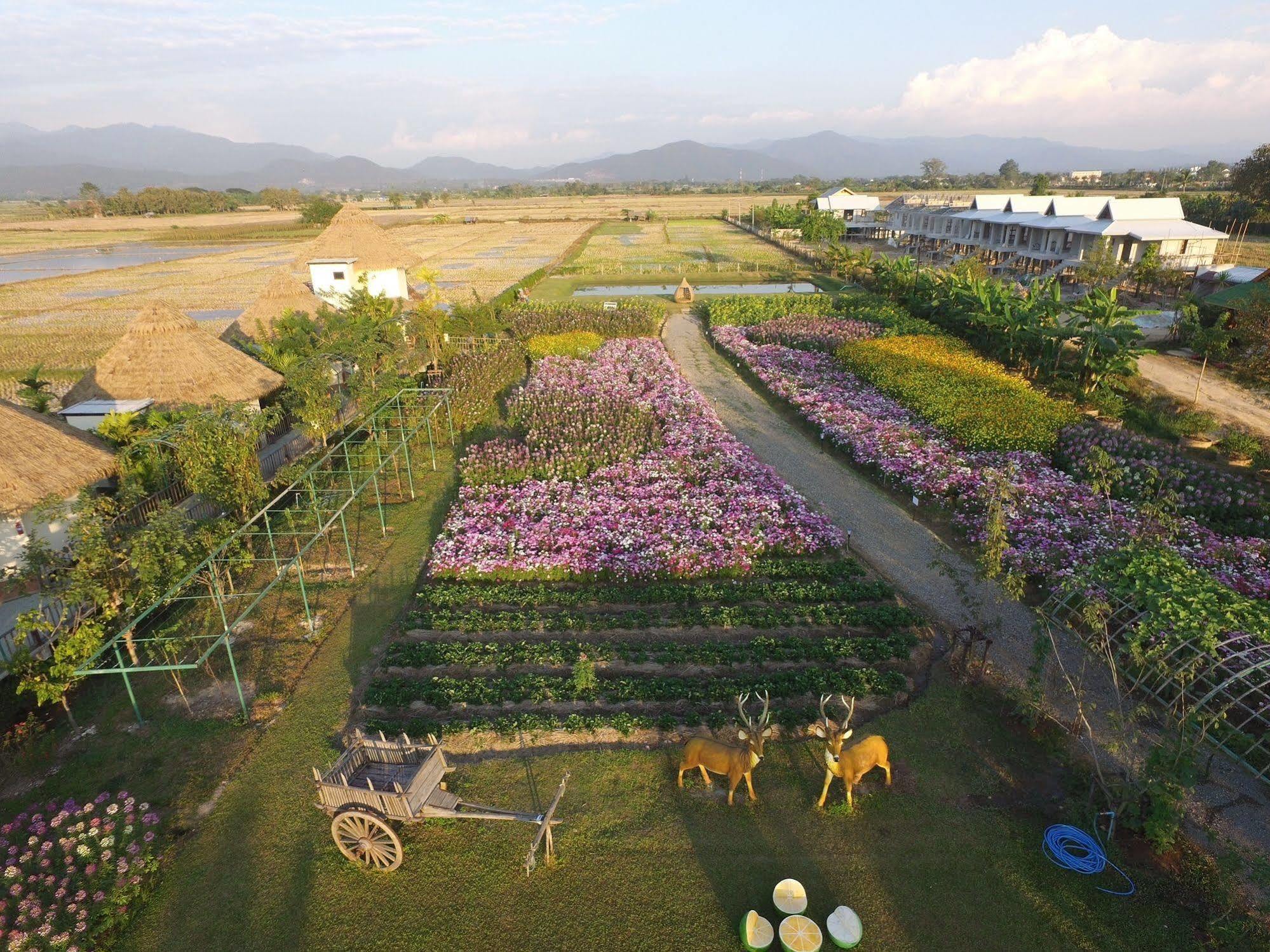 Phusanfah Resort Mae Taeng Bagian luar foto