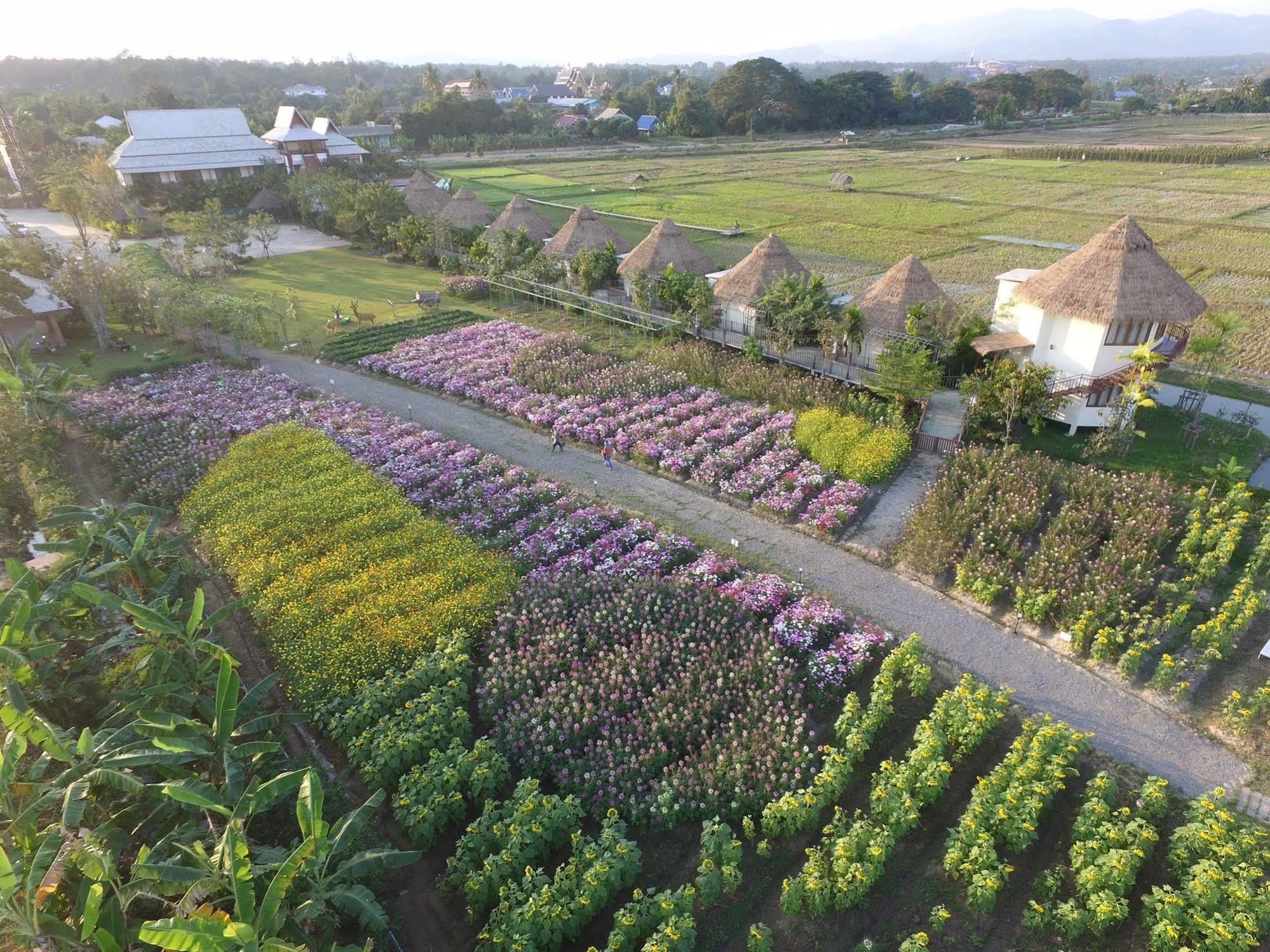 Phusanfah Resort Mae Taeng Bagian luar foto
